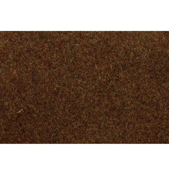 Statická tráva lesní hnědá