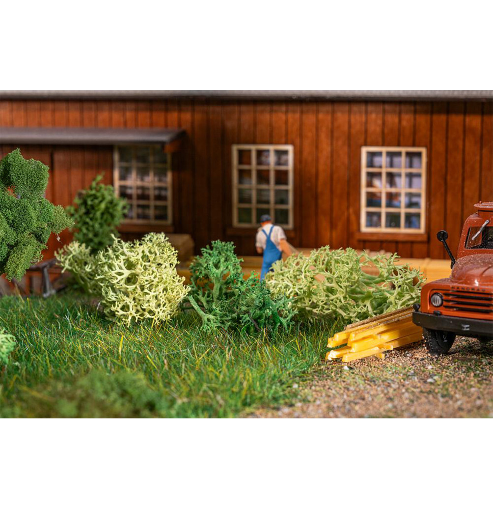 Islandský mech – zelený mix