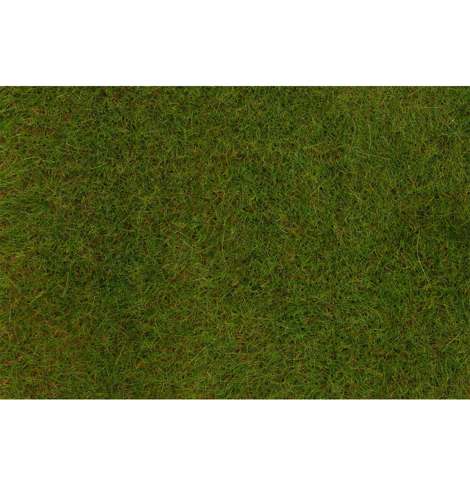 PREMIUM statická tráva – jarní louka 6 mm