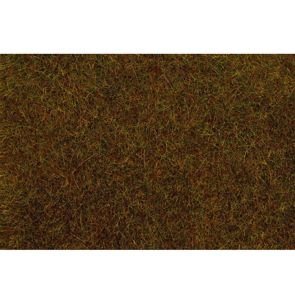 PREMIUM statická tráva – podzimní louka 6 mm