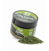 Jemné listí – pozdní léto