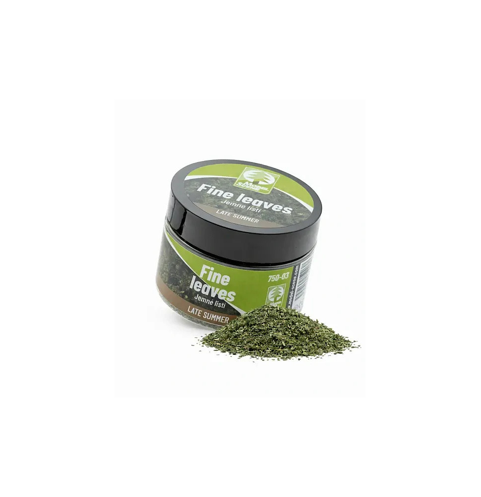 Jemné listí – pozdní léto