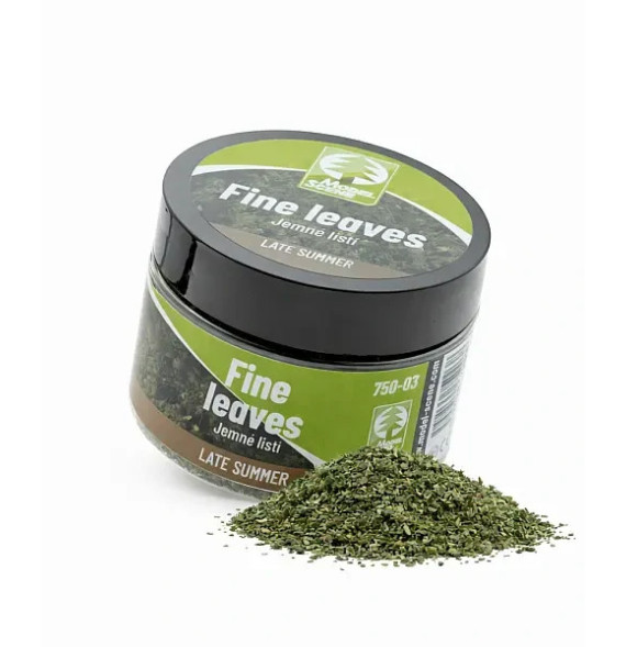 Jemné listí – pozdní léto