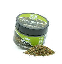 Jemné listí – pozdní léto barevné