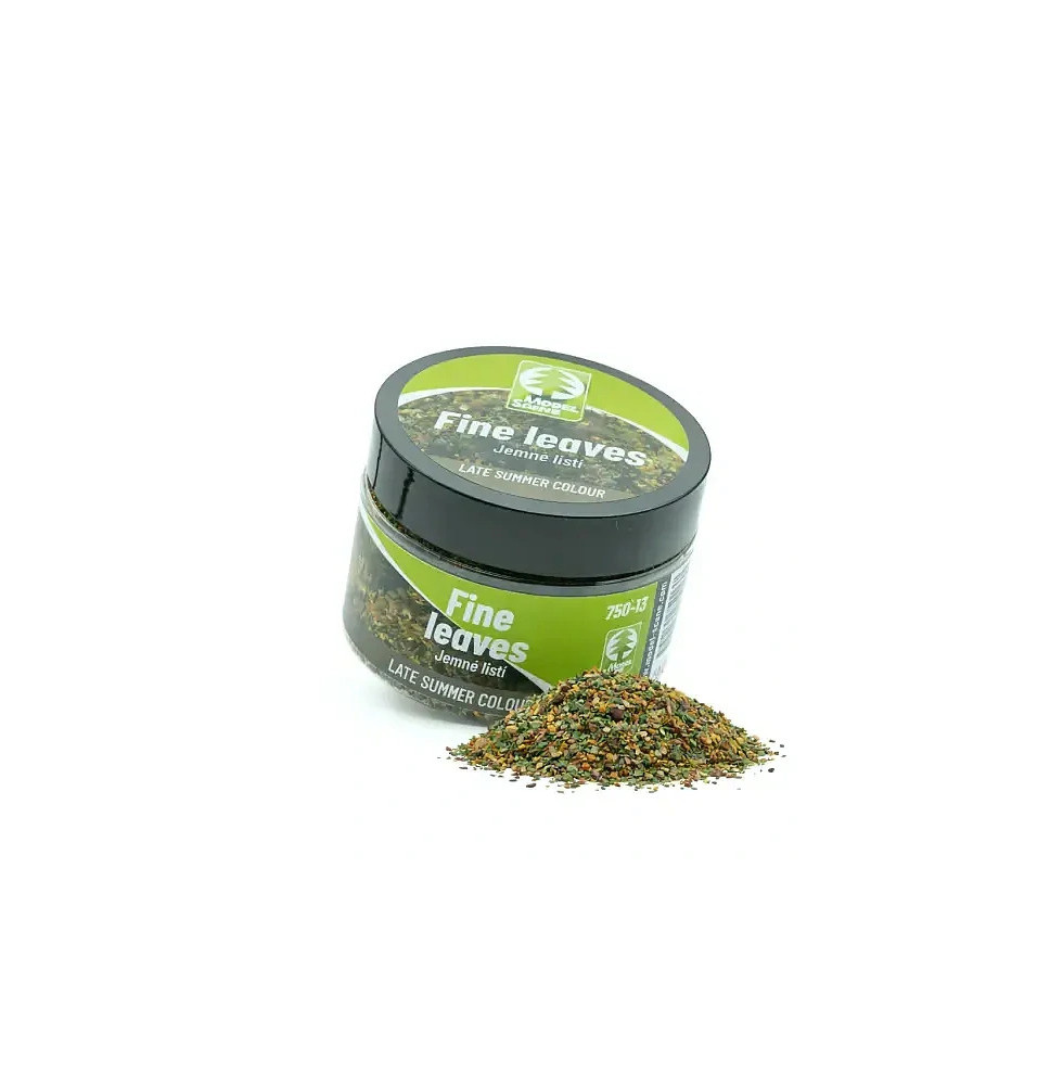 Jemné listí – pozdní léto barevné