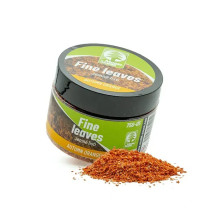 Jemné listí – podzim oranžová