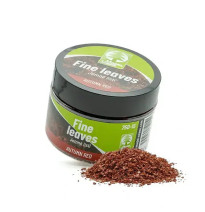 Jemné listí – podzim rudá