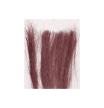 PREMIUM popínavé rostliny zelené